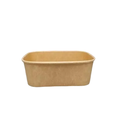 Rectangular Fruit Paper Bowl